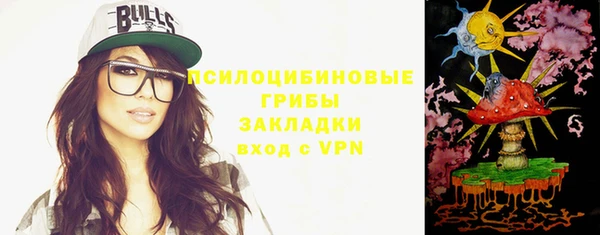 стаф Семилуки