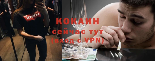 стаф Семилуки