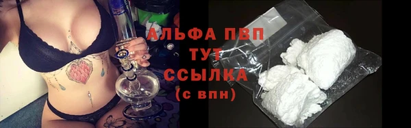 индика Семёнов