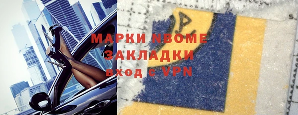 стаф Семилуки