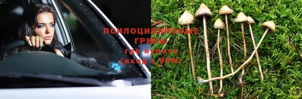 индика Семёнов