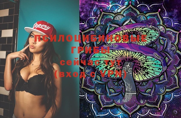 индика Семёнов