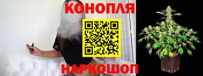 дмт Гагарин