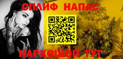не бодяженный Гай