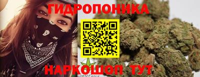 а пвп мука Гатчина