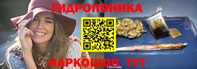 не бодяженный Гай