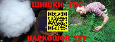 не бодяженный Гай