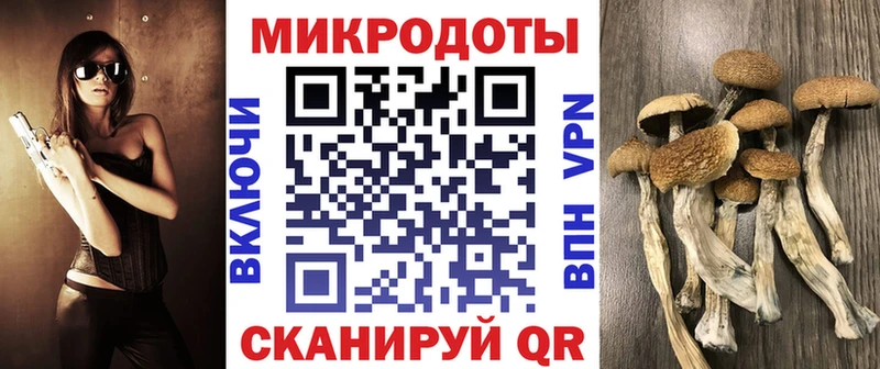 дарнет шоп  mega как войти  Псилоцибиновые грибы мицелий  Тосно 