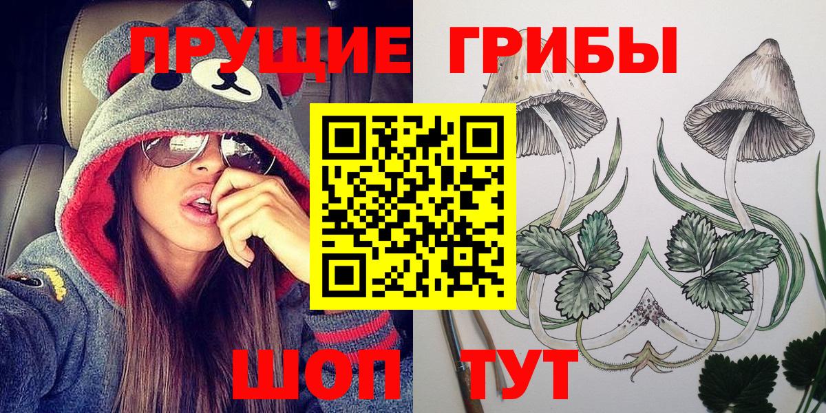 Тосно  Галлюциногенные грибы Psilocybe  Галлюциногенные грибы Magic Shrooms  Вход с VPN 
